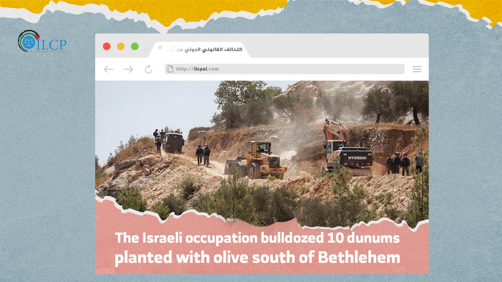 Israeli occupation bulldozed 10 dunums planted with olive south of Bethlehem